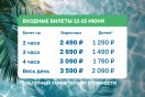 Тематические выходные для всей семьи